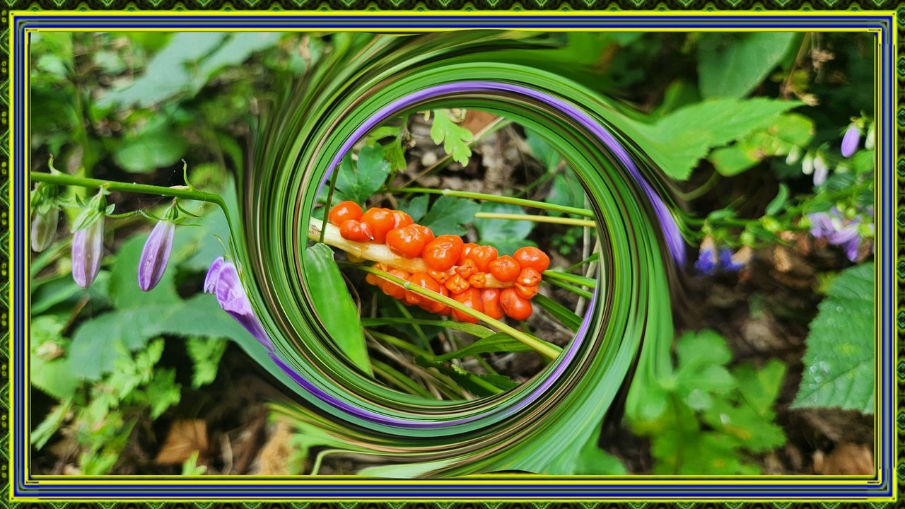 Doğal Çiçekler Diyarı