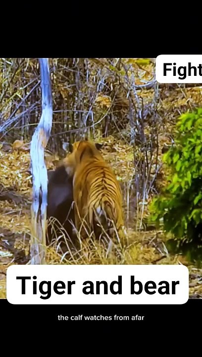 Attack