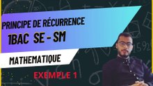 Principe de récurrence : video 1