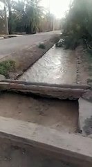 فيصان واد غريس الجرف تافيلالت