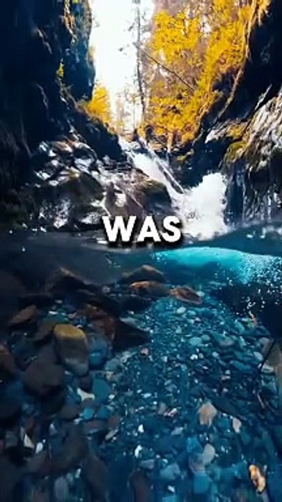 I Let My Selfishness #shorts #viral #Redditstories