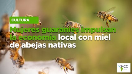 Mujeres guaraníes impulsan la economía local con miel de abejas nativas