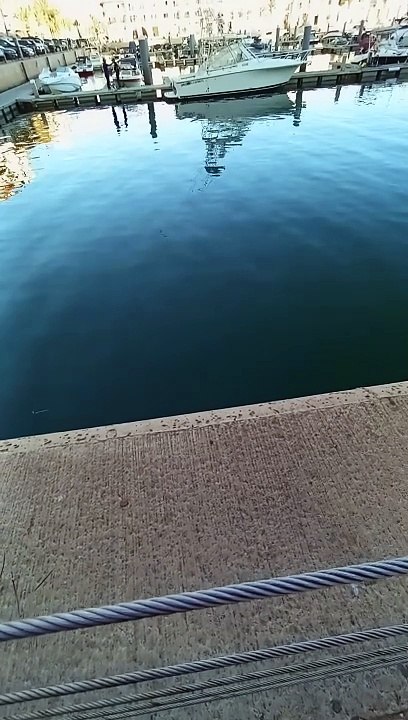 sea
