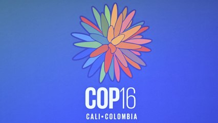 La Casa Étnica abre sus puertas a los visitantes en la COP16