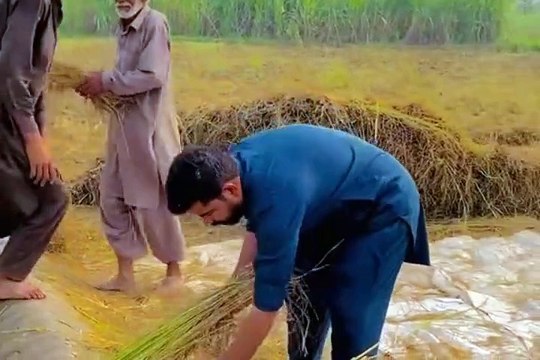 Old culture of Punjab purani yadain Sanjah punjab routine work in village old culture of Punjab village