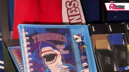 Precios Actualizados de la Indumentaria de los Tiburones 🦈