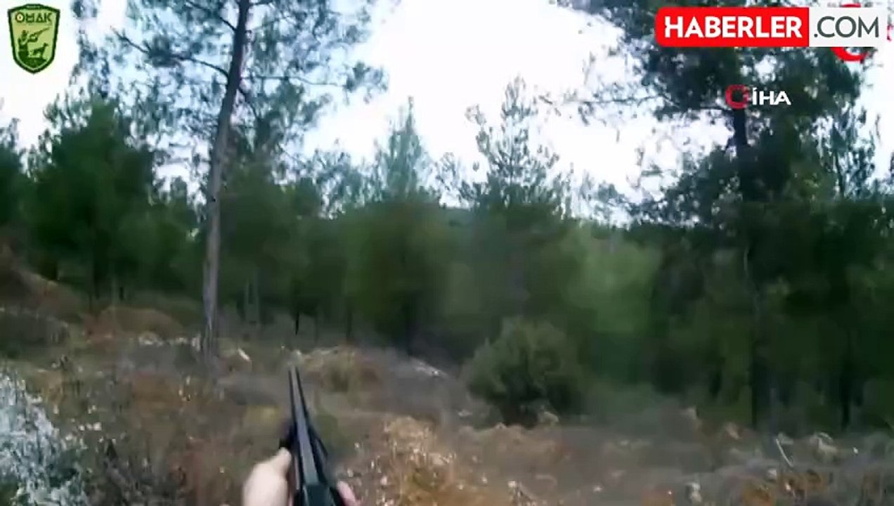 Bilecik'te Domuz Avında 1 Avcı Yaralandı