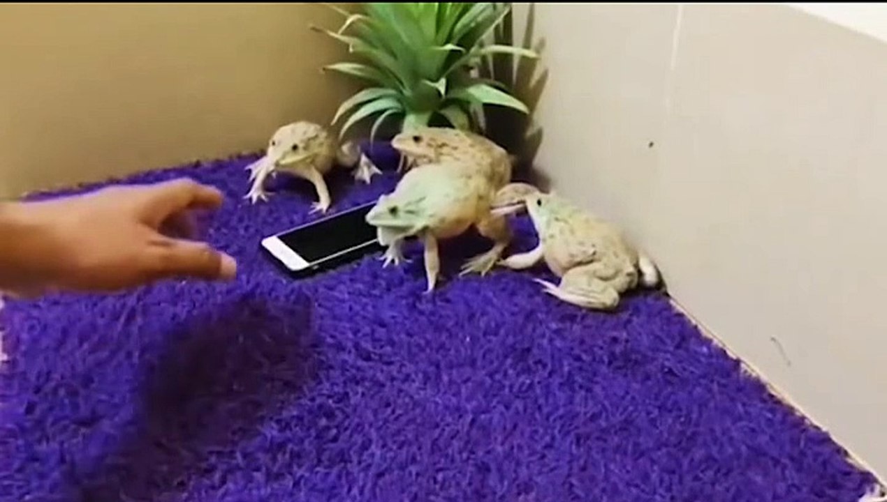 Game Lent viral videos cartoon shortfilm short film video