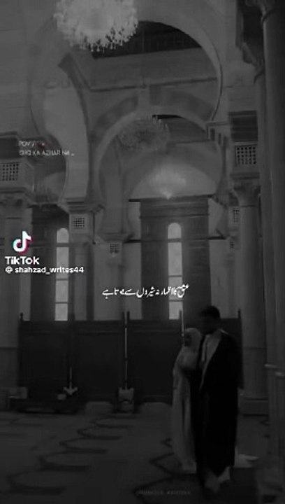 VID-20241002-