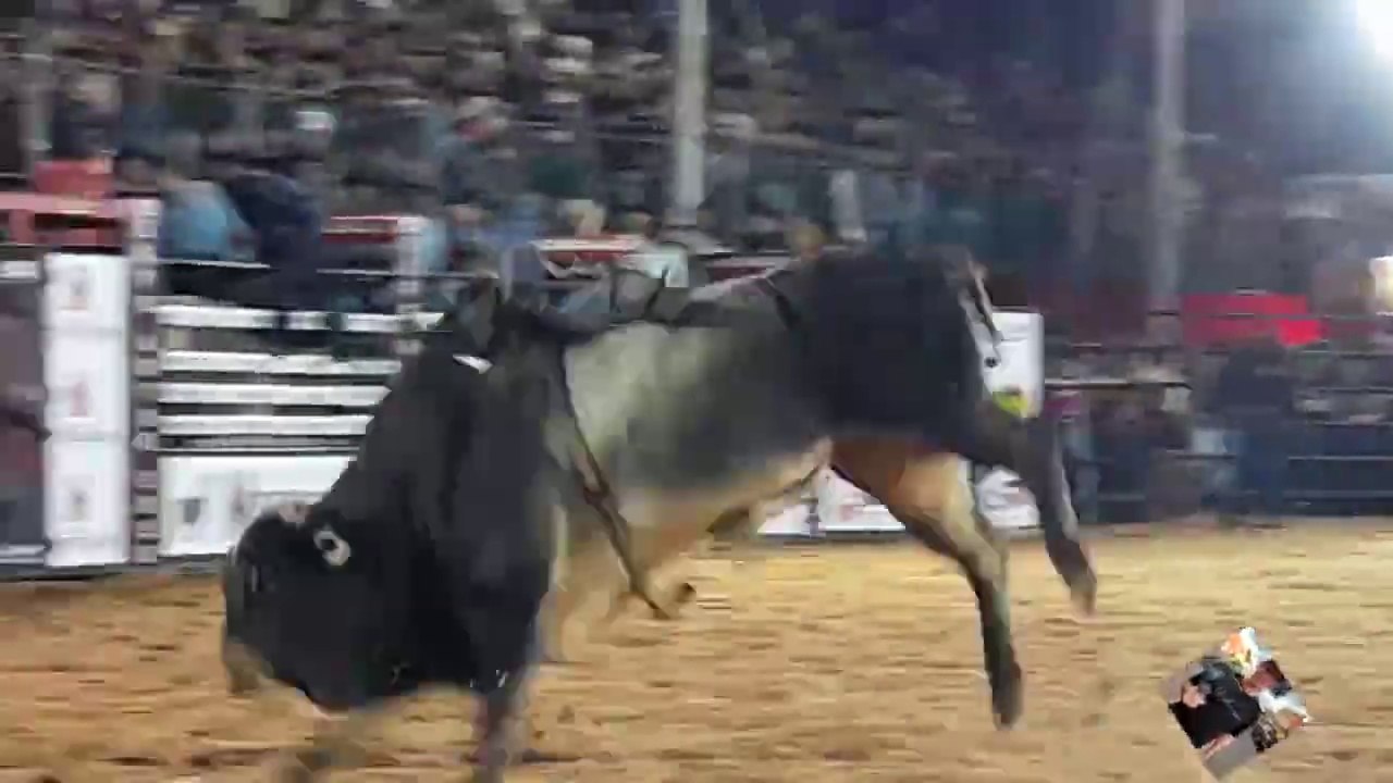 RODEIO - EXPO ARTUR 2022 - FINAL MONTARIA EM TOUROS 22_10_22 (P11)