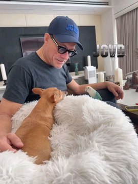 l'actualité des Légende de sport de combat technique Muaythai MMA...