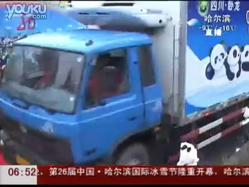 10 _Gấu trúc khổng lồ hội chợ triển lãm_ đã đến Thượng Hải-Video động vật-Sohu Video