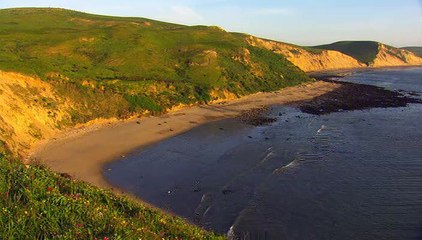 Sunrise Earth - Sunrise Seal Colony