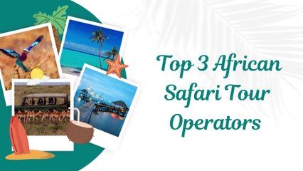 Top 3 African Safari Tour Operators
