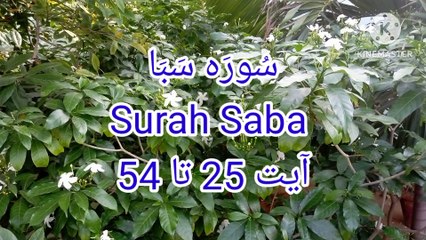 Surah Saba | Tilawat Surah Saba | Beautiful qirat | Learn quran |