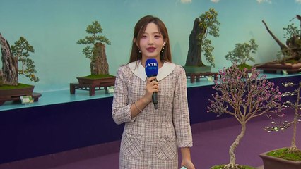 가을 향 한가득 국화꽃 축제...휴일 나들이객 '북적' / YTN