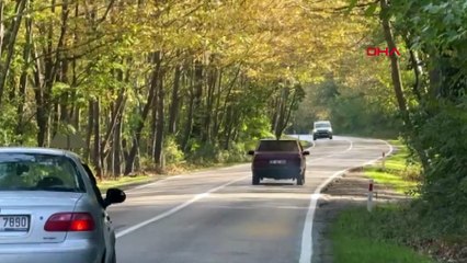 BARTIN-AGAC-TUNEL-YOLDA-SONBAHAR-GUZELLI_389805_108116