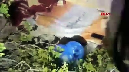 Mezarlıkta 3 kadını öldüren şüpheli, saklandığı ormanda yakalandı