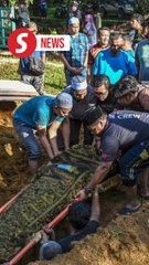 Fatal crash: Remains of four family members laid to rest