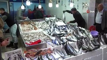 Sinop’ta balıkçı tezgahları şenlendi