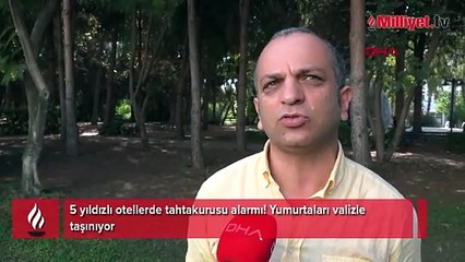 Antalya'nın kabusu oldu! Turistler valizlerinde getiriyor: Kan emerek yaşıyor