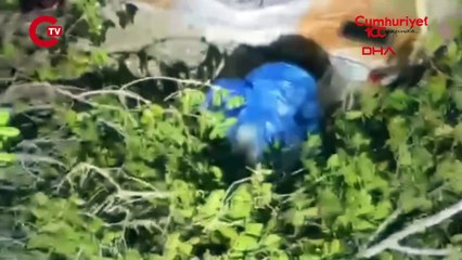 Mezarlıkta 3 kadını öldüren şüpheli, ormanda saklandığı oyukta yakalandı