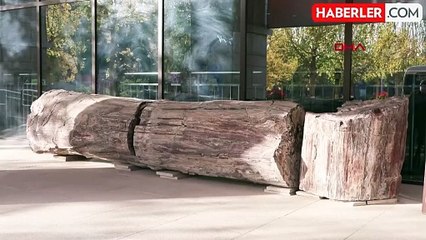 Çin'in Aksu Bölge Müzesi: Tarih ve kültürün kapısı