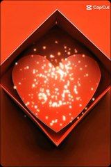 lv_7394289879212903700_20241012132402