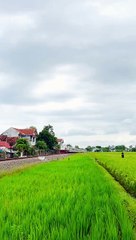 Salam Dari Jauh Dulu