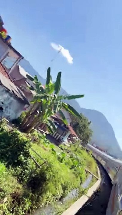 Ular Raksasa Lewati Tikungan