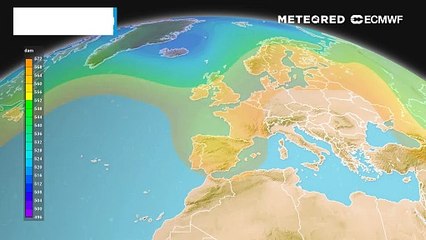 Aprende la Técnica de Transición de Omega Invertida con BFA-DANA ✨