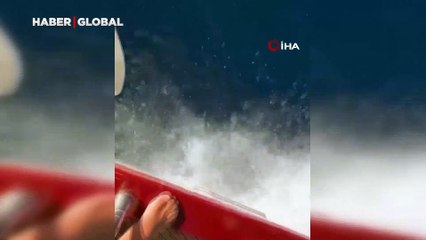 Yunuslar tekne ile yarıştı, turistler o anları heyecanla kaydetti