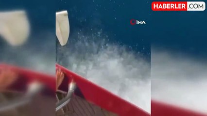 Yunuslar Tekne ile Yarıştı, Turistler O Anları Kaydetti