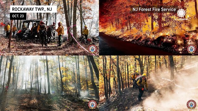 Statewide burn bans in effect: Understanding restrictions and how to prevent wildfires