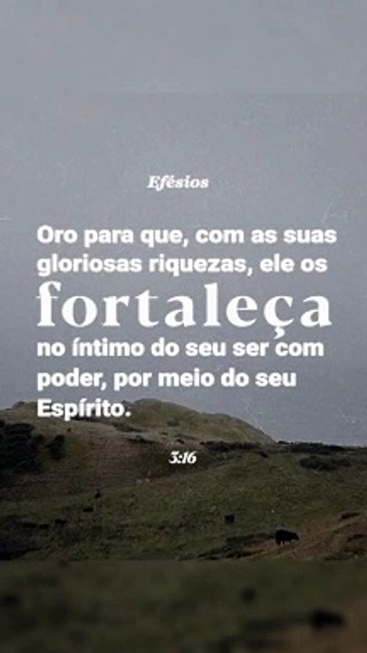 Versículo do dia 26/10/24