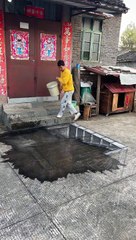 Dogs can actually understand 3D paintings