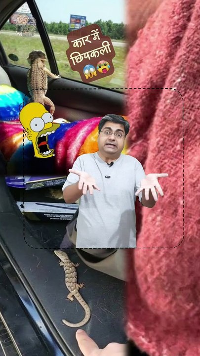 कार में छिपकली   #shorts #shortsfeed #chhipkali #lizardincar #AmitKaviKumar