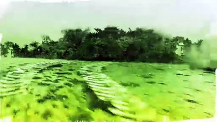 MotorStorm: Pacific Rift Elements