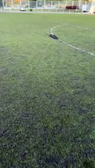 Así se encuentran las instalaciones de la ciudad deportiva del Rayo Vallecano