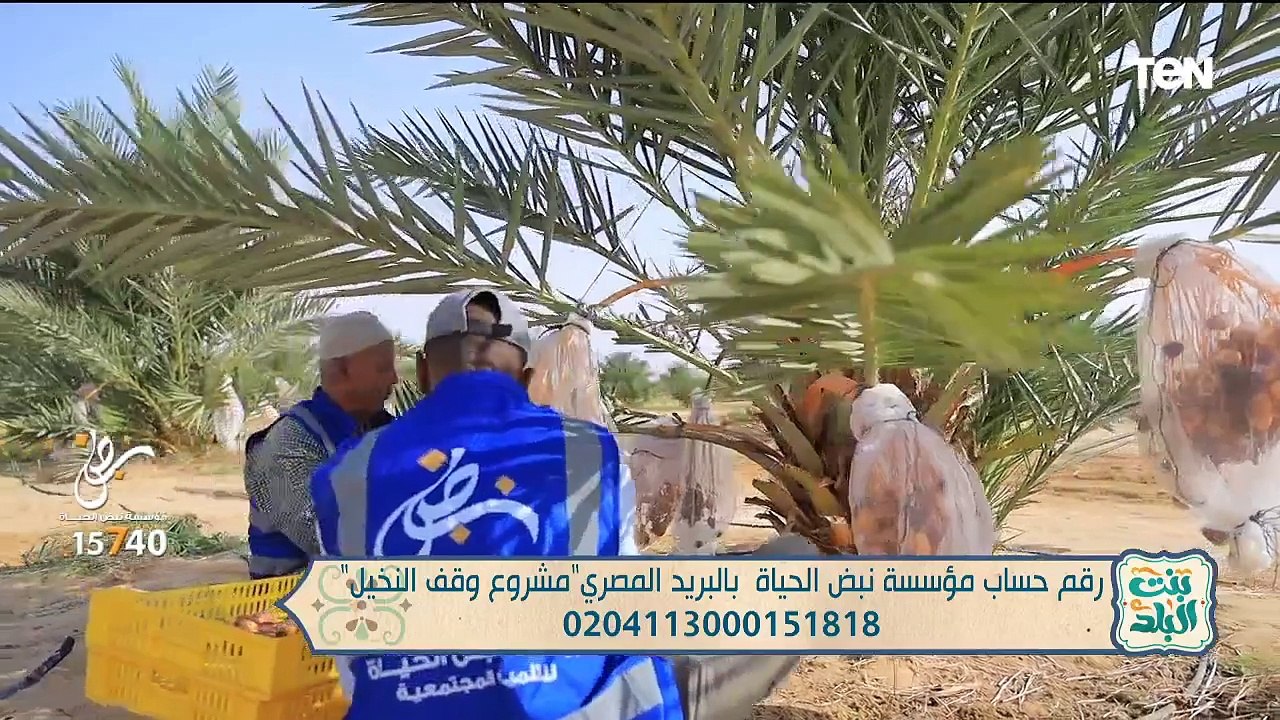 أبرز جهود مؤسسة نبض الحياة.. وما هو العلاج بالبلازما؟| بنت البلد