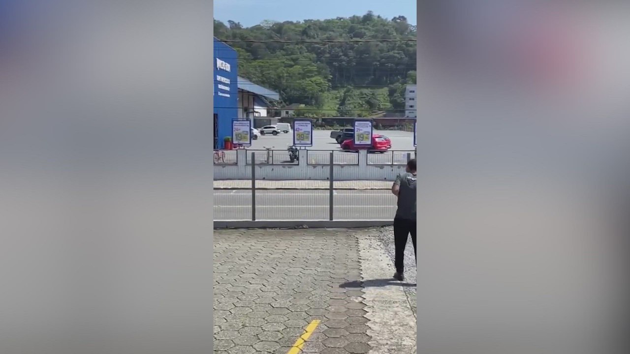 Lizard launches fierce attack on man after being pelted with a rock