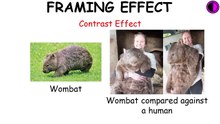 Every_Bias_Explained_in_8_Minutes