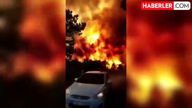 Alevler yerleşim yerlerine yaklaşıyor! Denizli'deki orman yangını günlerdir söndürülemedi