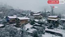 Artvin'de Kar Yağışı Nedeniyle Ulaşım Kontrollü Sağlanıyor