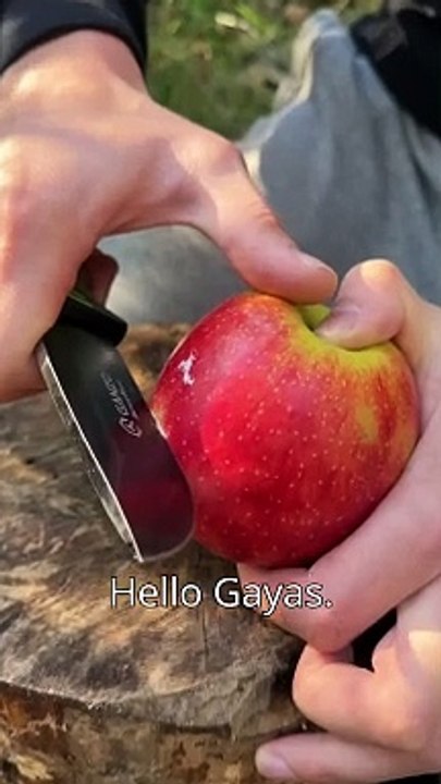 Boy survival in the forest #camping #survival #bushcraft #outdoors #fire #Forest