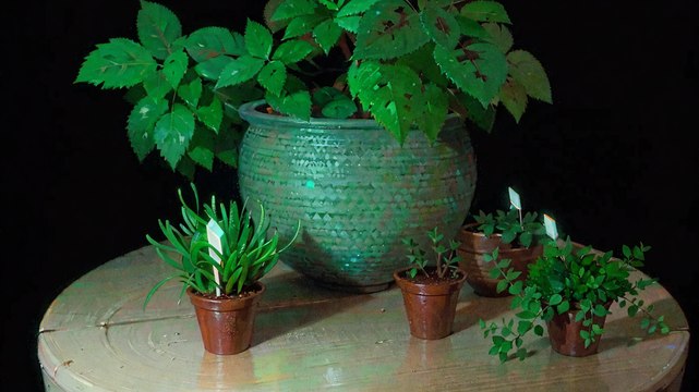 Consommation : petites maisons, mini-plantes et accessoires tendance