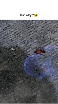 X_X_Xtreme Reel 992 - Want to earn a million before 2024 end. Here are the top 6 promising remote business ideas- 1. Freelancing and Consulting- - Content writing - Copywriting - Graphic design - Branding service