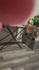 closing to the beast within