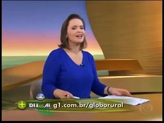 Encerramento Globo Rural Diário e Início Bom Dia São Paulo (07/10/2013) (SIMULAÇÃO)