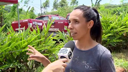 JORNAL NACIONAL 24-10-2024